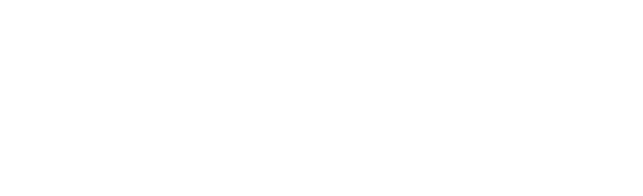 Pioneera Consulting